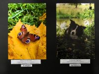 Laureaci Ekologicznego Konkursu Fotograficznego podczas wręczania nagród w bibliotece.