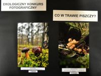 Laureaci Ekologicznego Konkursu Fotograficznego podczas wręczania nagród w bibliotece.