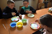 Grupa dzieci pipetami przelewa barwniki na talerzyki wypełnione mlekiem.